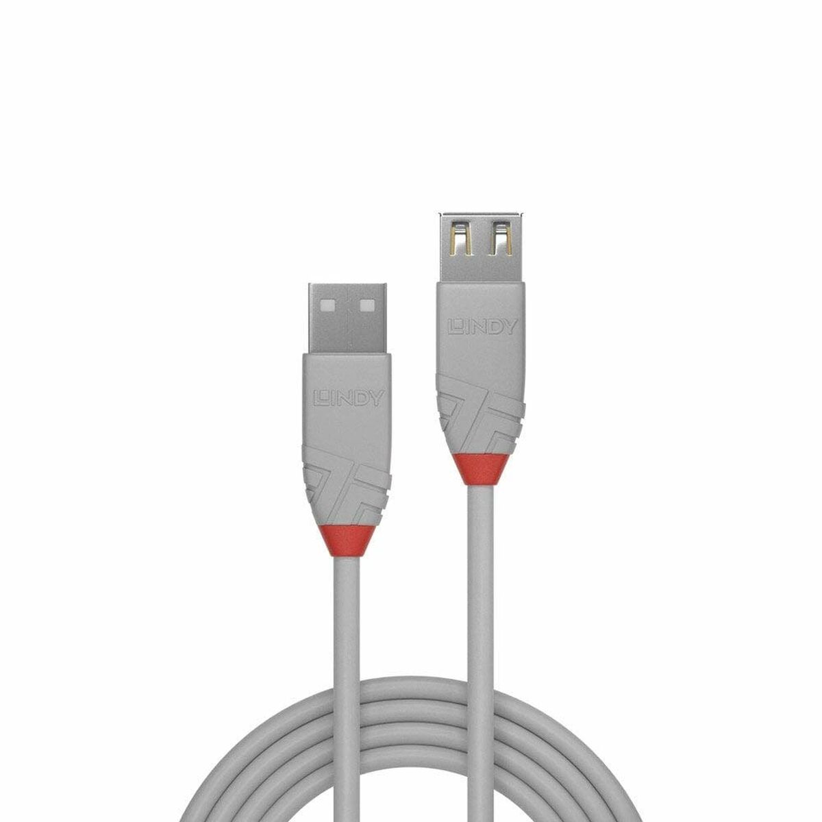 Câble USB LINDY Noir 2 m